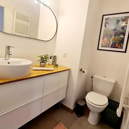 Apartman De 4 Avec Terrasse De 150 M2 Et Parking Prive Toulouse