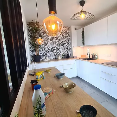 De 4 Avec Terrasse De 150 M2 Et Parking Prive Apartman Toulouse