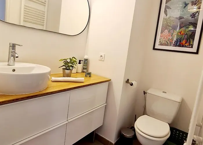 Daire De 4 Avec Terrasse De 150 M2 Et Parking Prive Toulouse